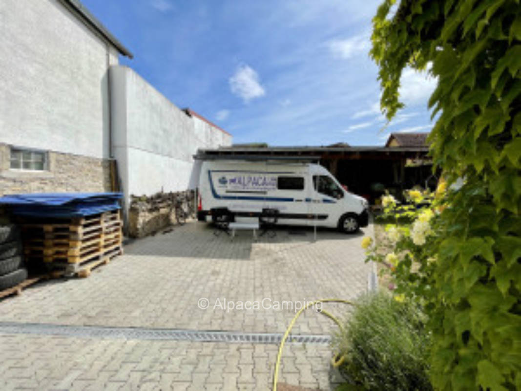 Wundervoller Stellplatz direkt an einem Weingut in Alsheim #2