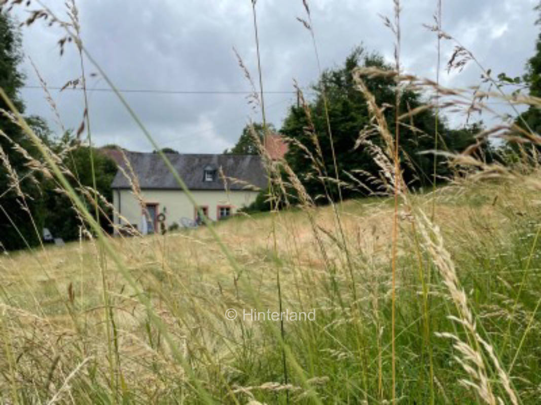 Schlafen unterm Sternenhimmel 