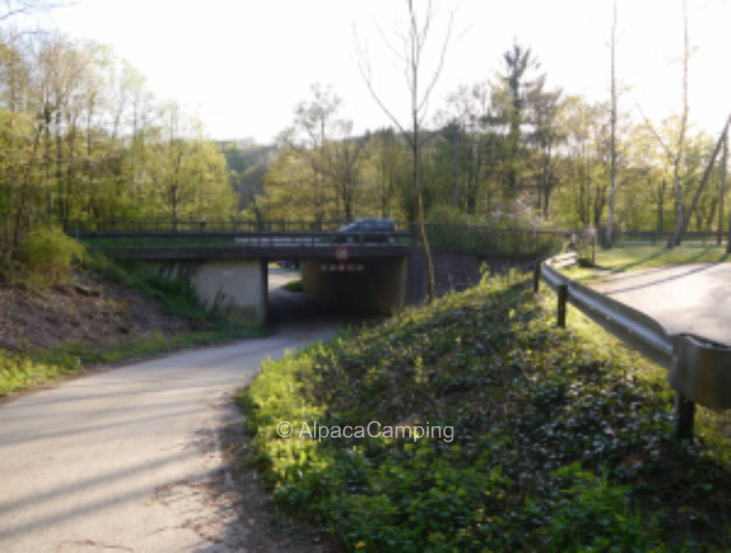 Stellplatz Camping Meigermühle, direkt am Fluss #3