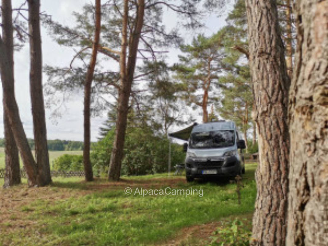Klein Trebbow on the edge of the forest