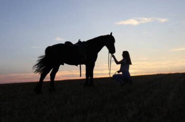 Camping am Ponyhof
