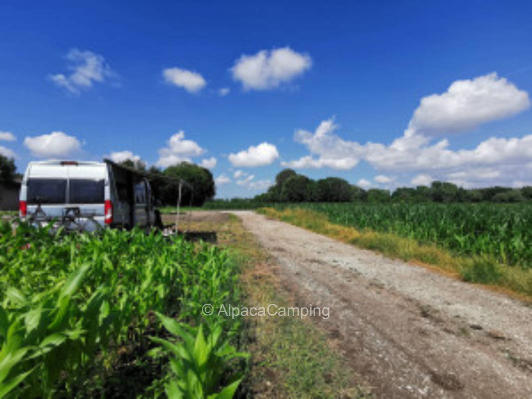 Stellplatz in Oberding #3