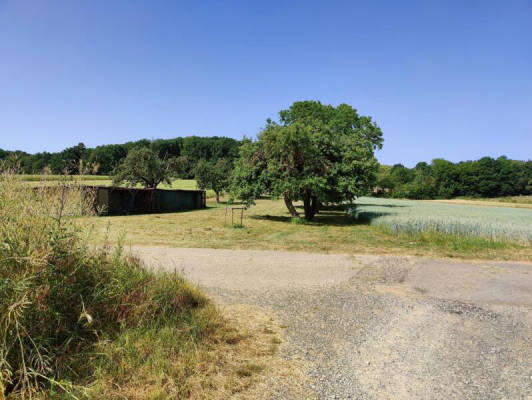 Auf der Obstbaum-Wiese inmitten von Feldern (Campspace 5480)