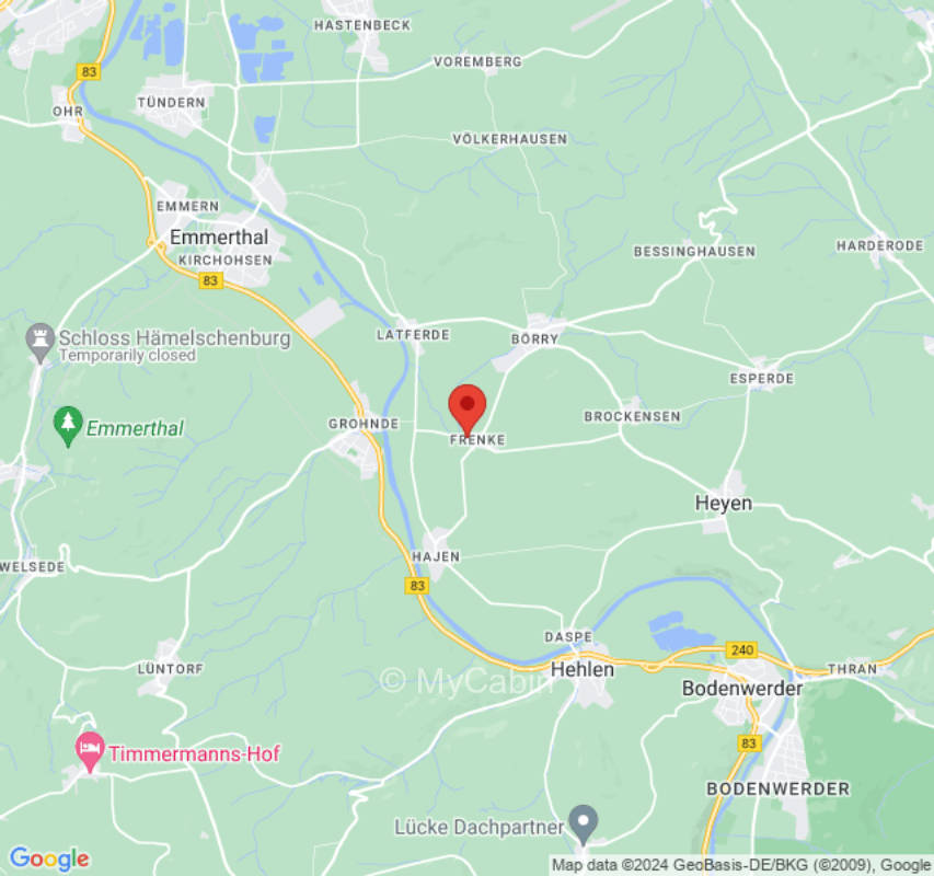 Idyllischer Stellplatz unter Trauerweide