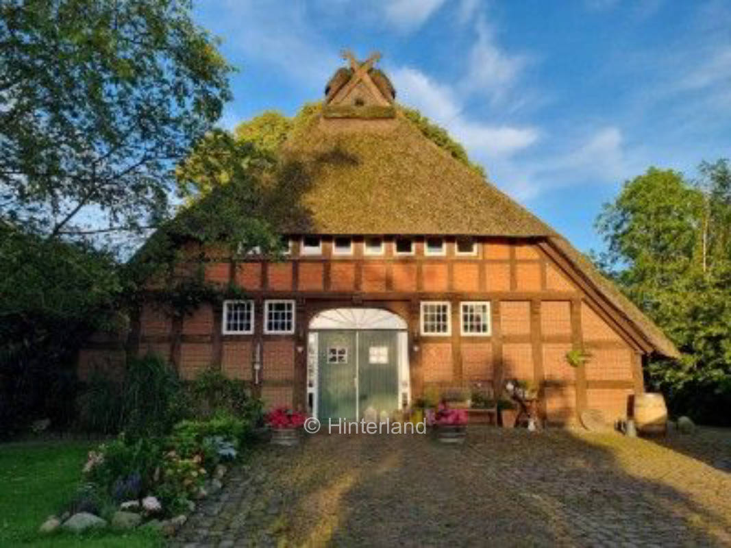 Ruhige Wiese am Fluss: Natur & Wildtiere erleben