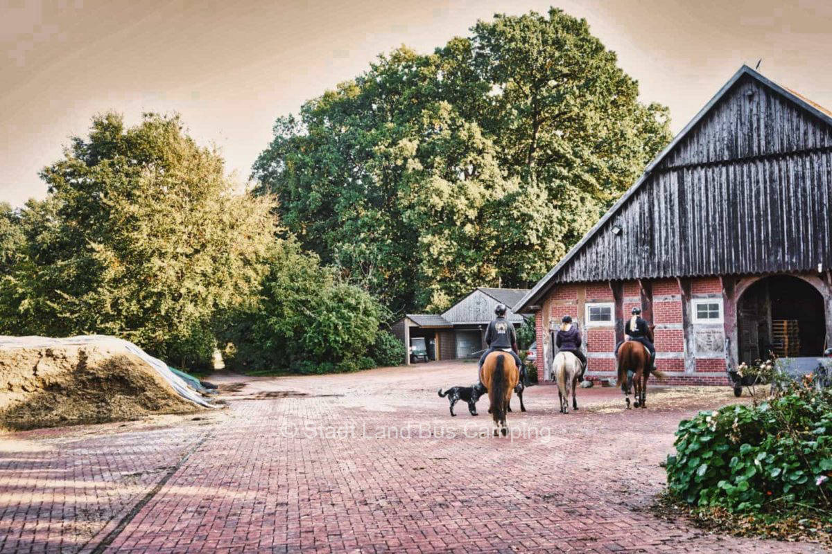 Berling farm - Schereck