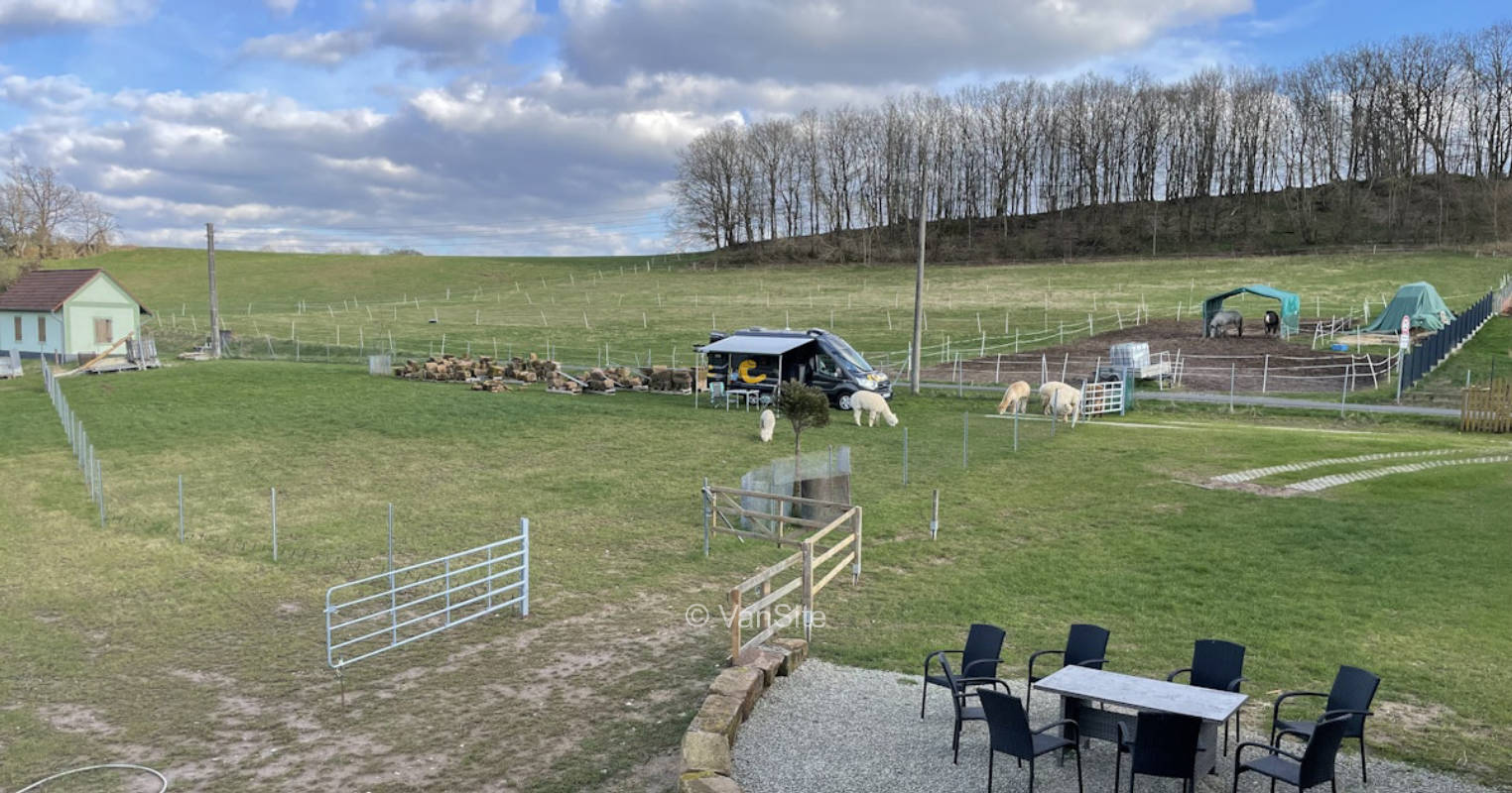 Wiesenstellplatz neben den Alpakas