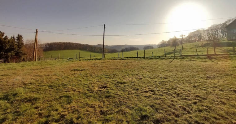 Pitch on the horse meadow with dream view