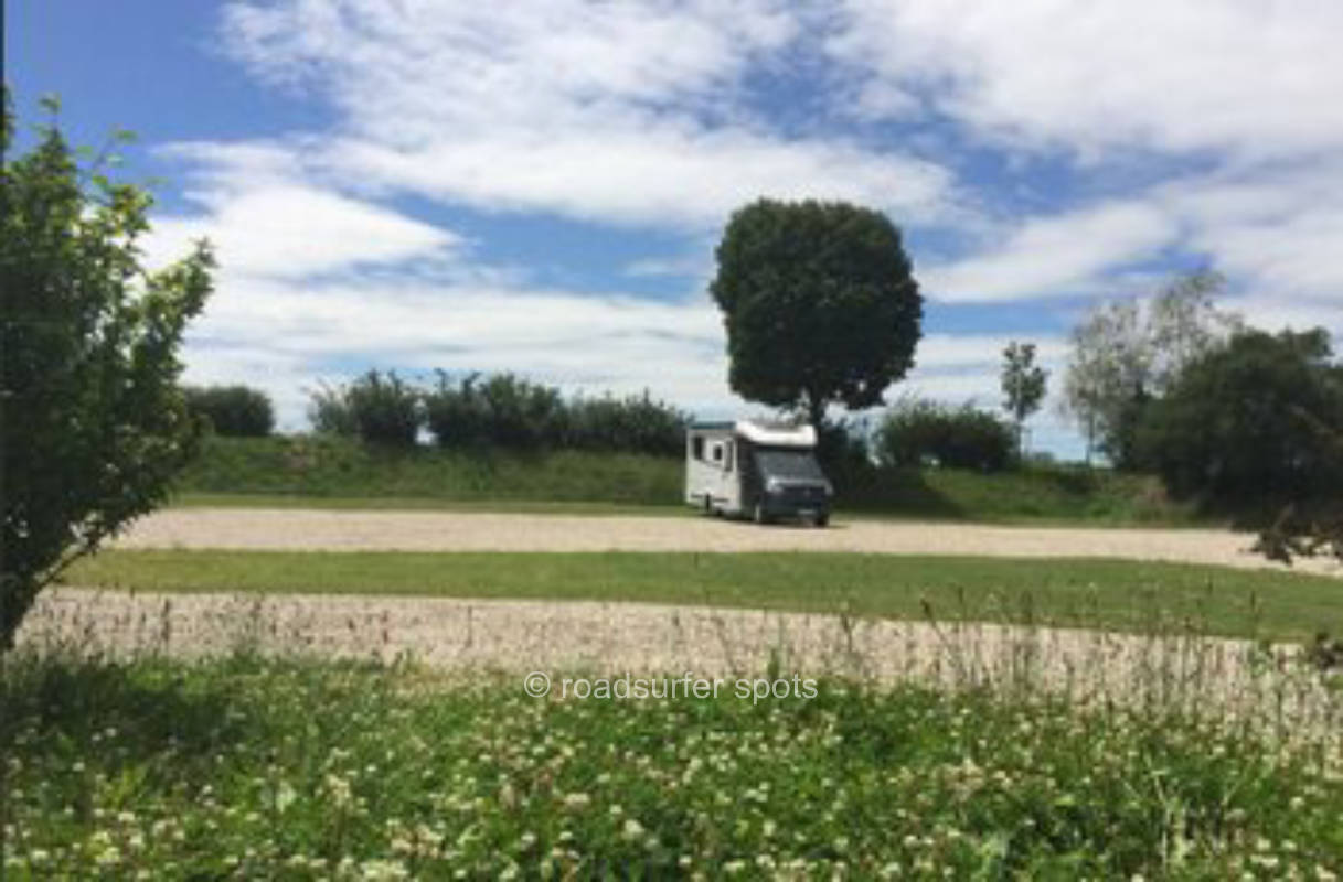 Rhine impressions at the sunny Bohrerhof