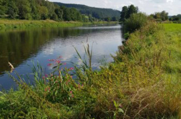 Camping im idyllischen Regental 