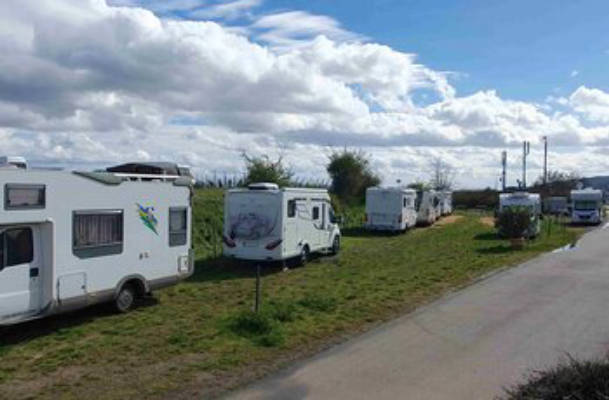 Camping am Weingut nahe der Weinstraße 