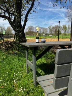 Idyll right by the field edge