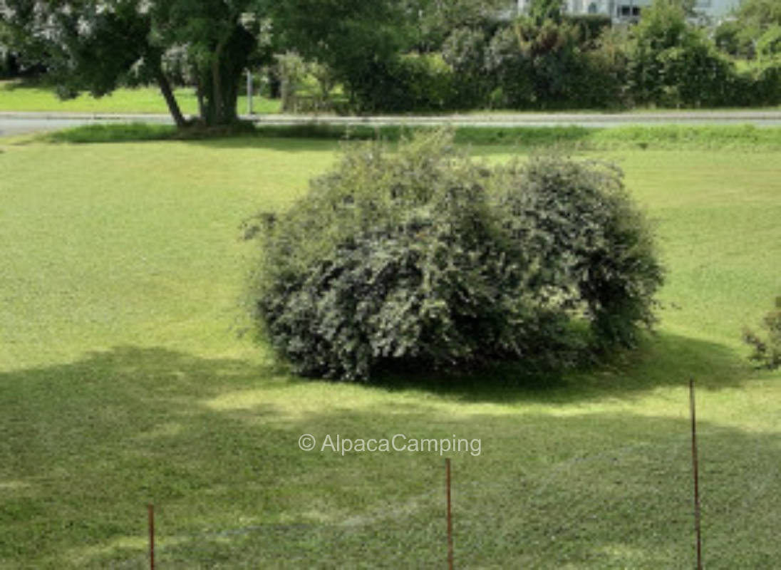 Schwarzier Erholungsplatz #1