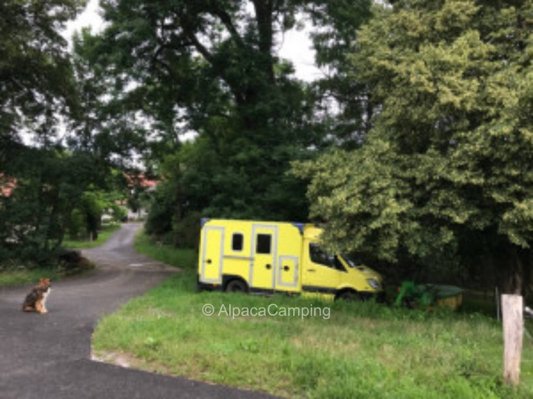 Unter der Linde mit Weideblick am Bach