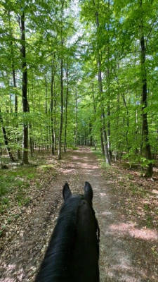 Camping at the horse farm near the Baltic Sea