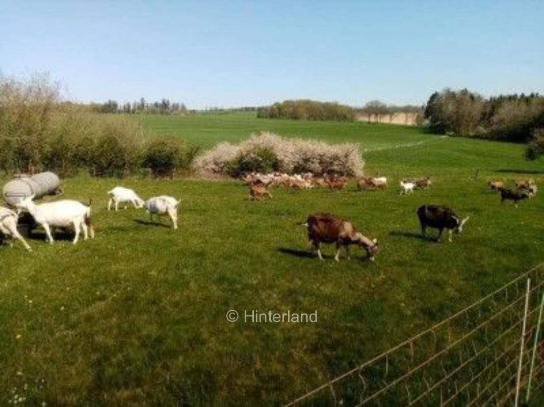 Pitch organic farm Ulmenhof, privater Stellplatz