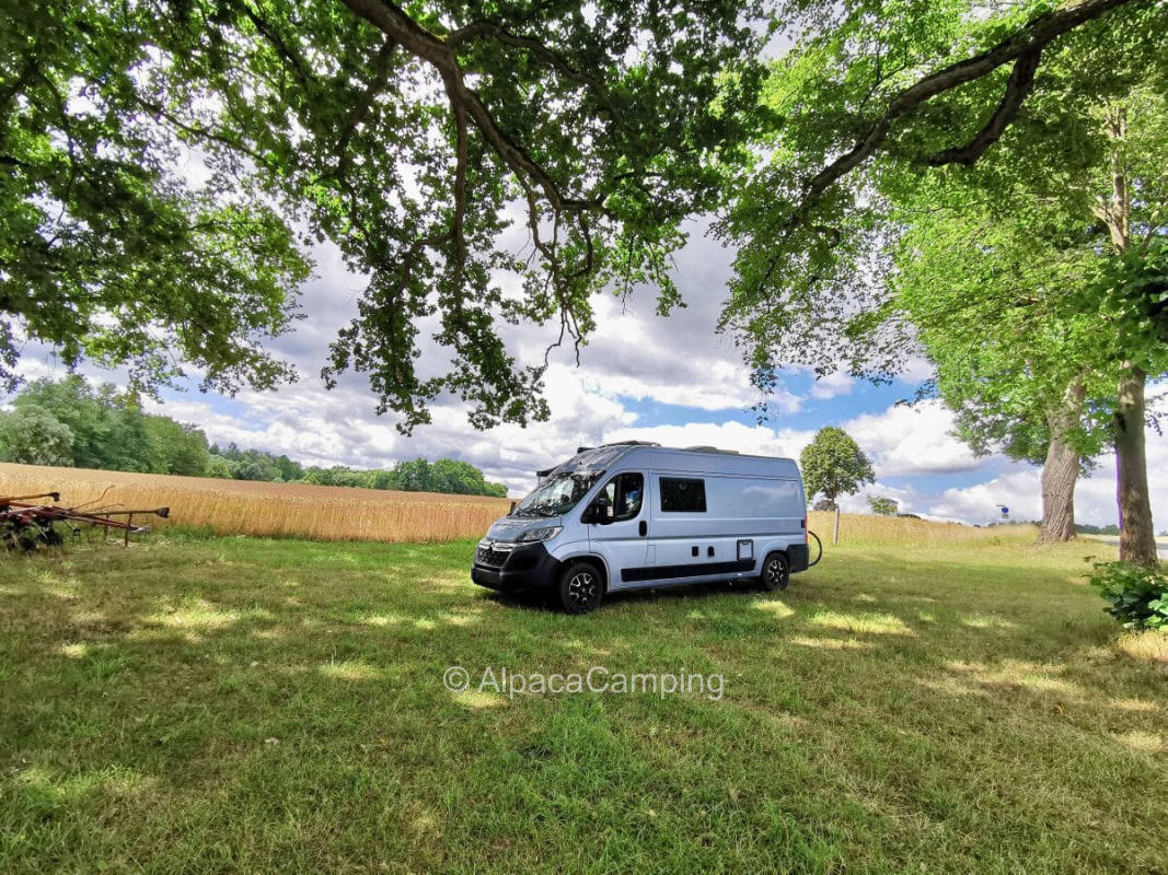 AlpacaCamping 2060