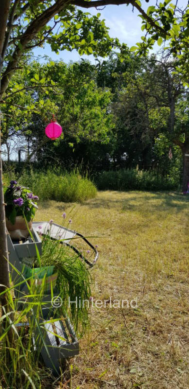 Dogs welcome in charming nature