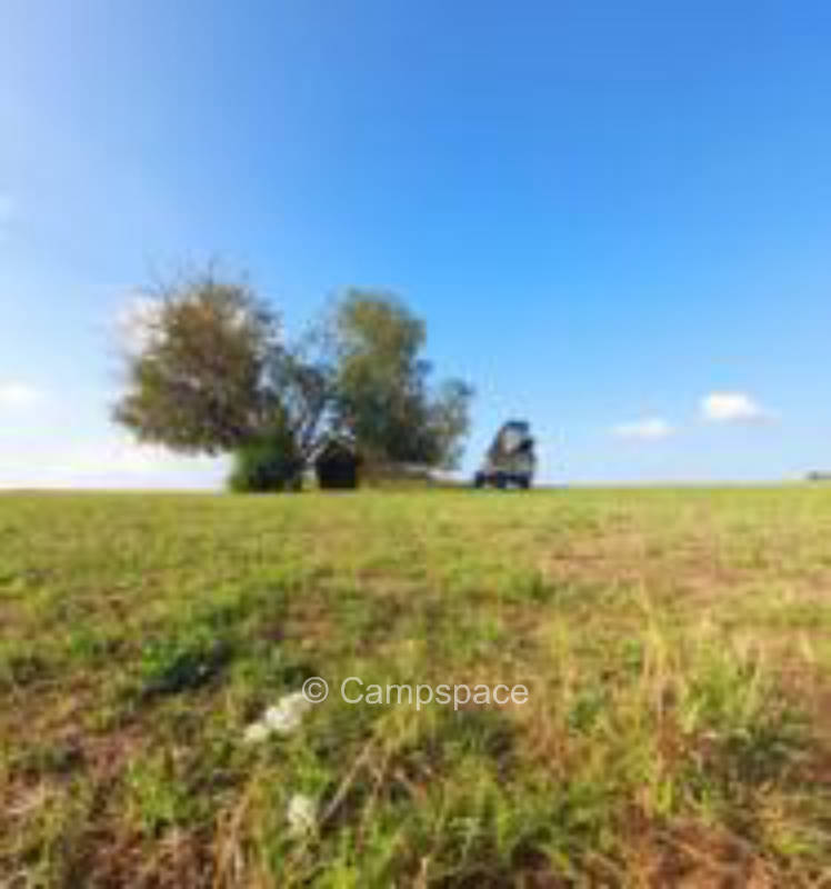 Camping "Am Hutberg" (Campspace 4840)