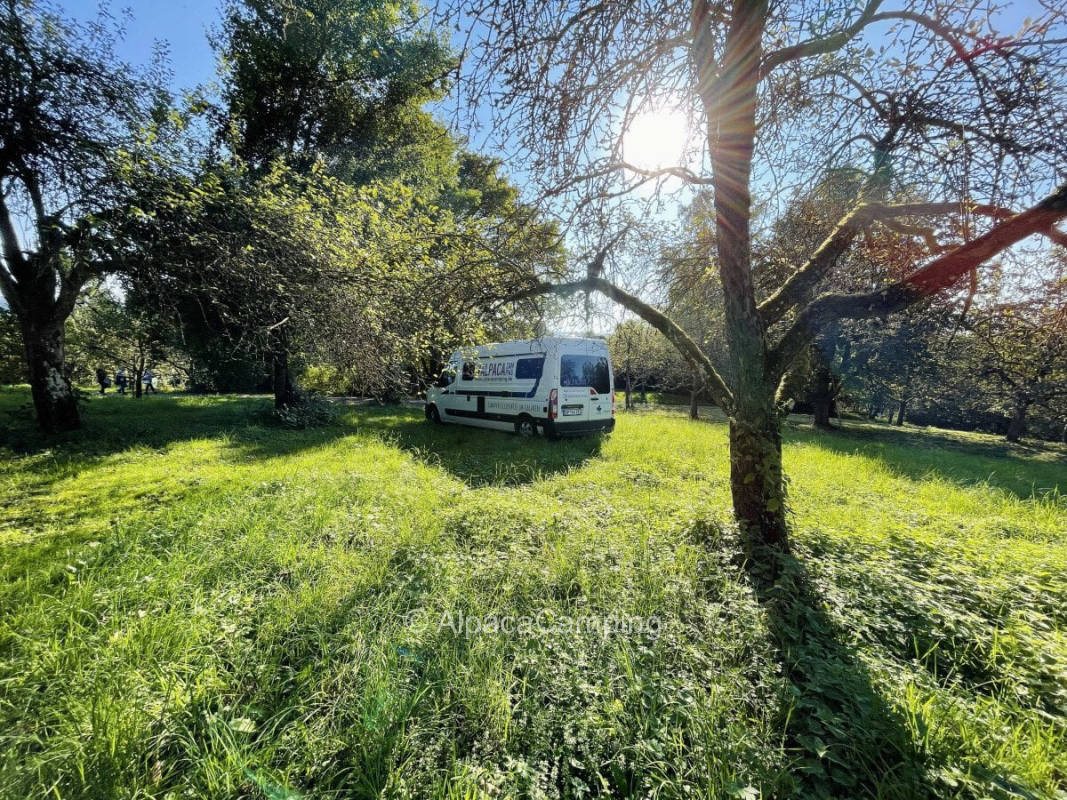 Urbach organic orchard