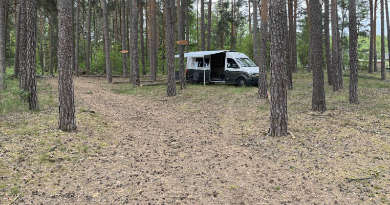 Shady pitch in the forest, Groß Köris