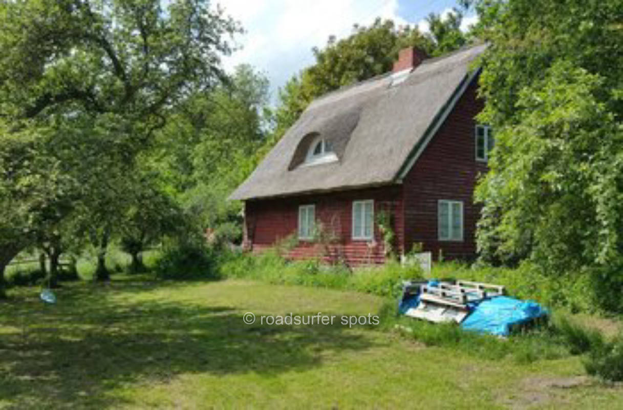 Wald Wiesen Natur Platz
