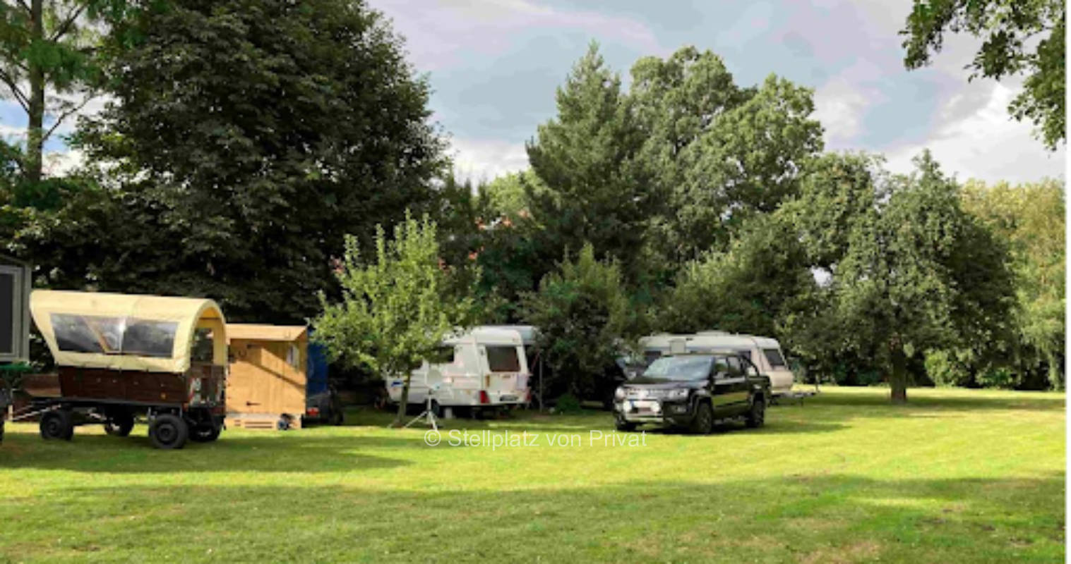 WoMo meadow at the Dümmer lake