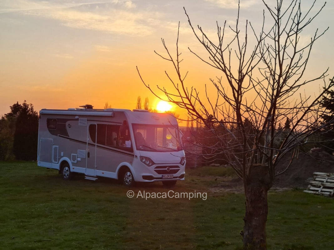 In a quiet location directly on the forest #1