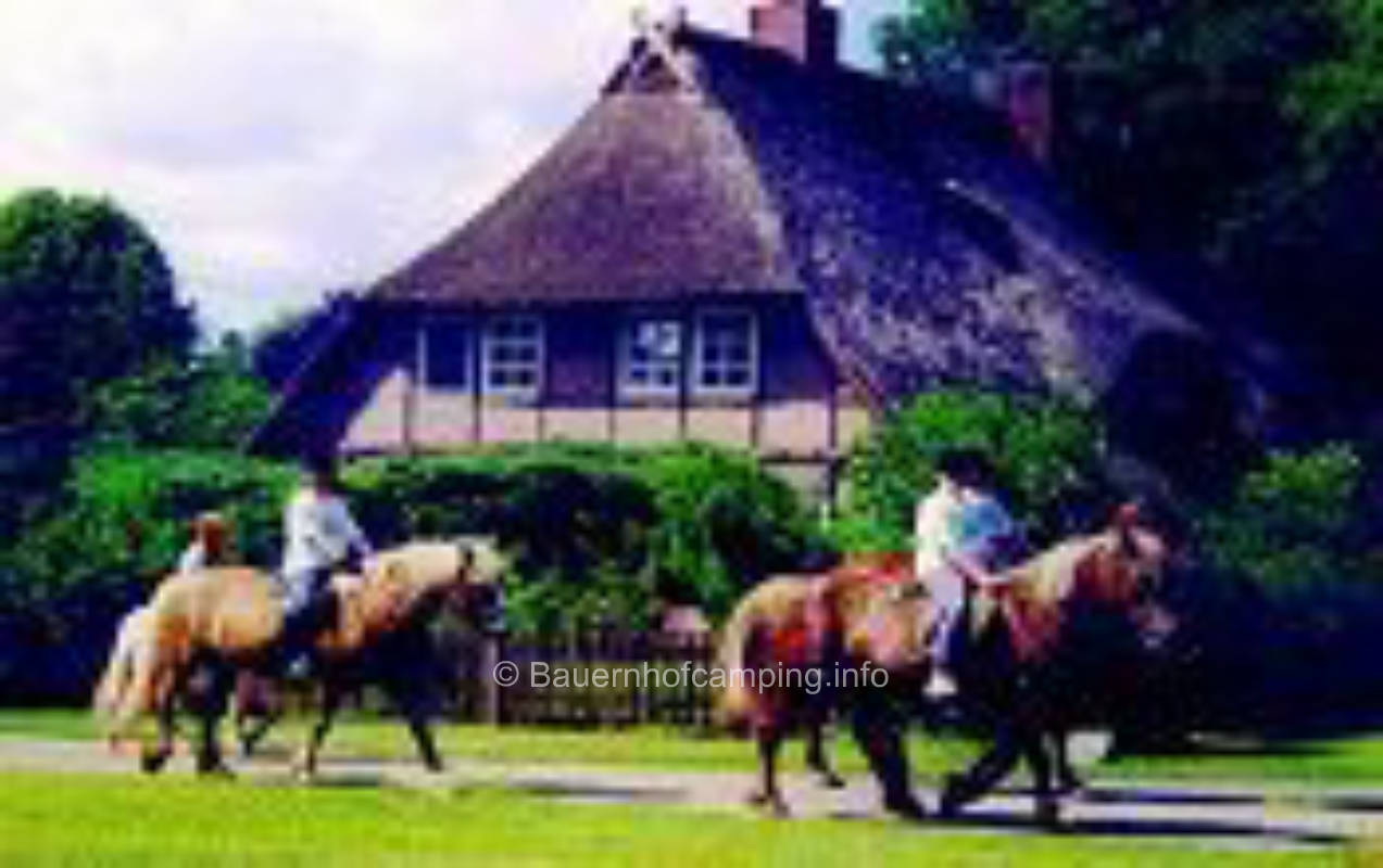 Reiter- und Ferienhof Cohrs