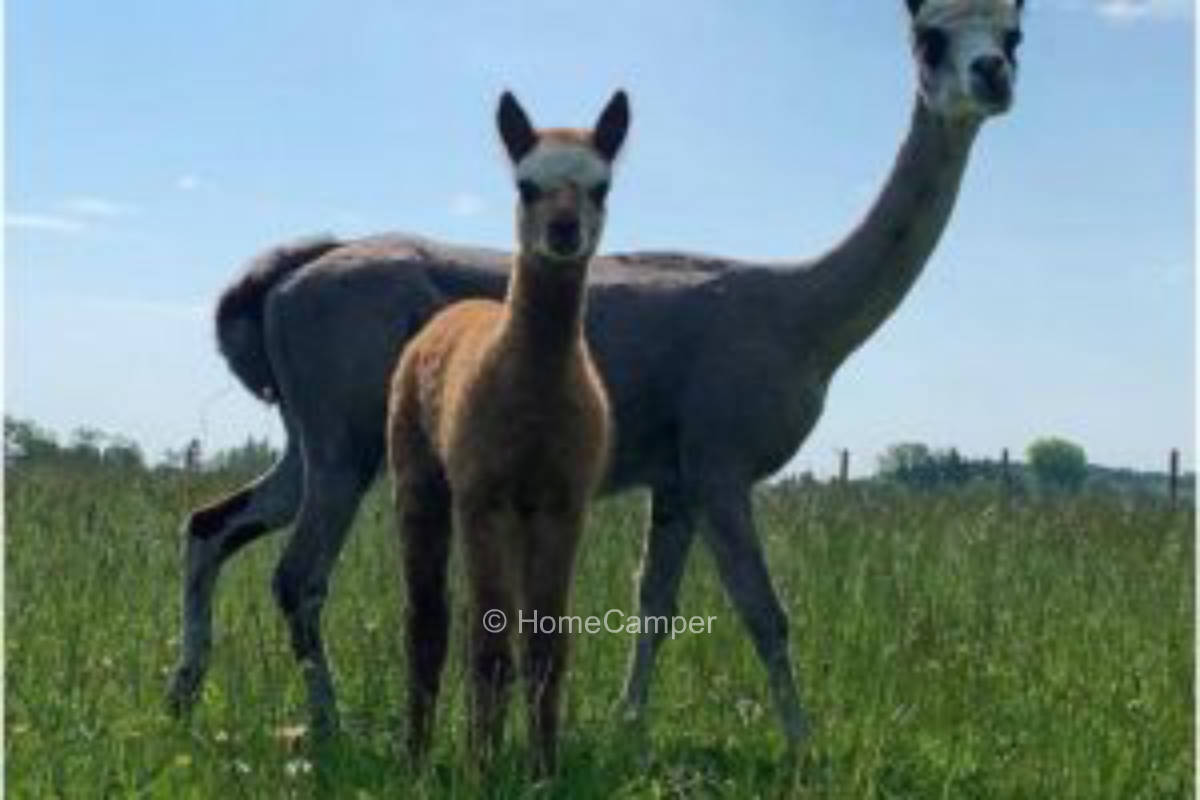 Privater Platz in Pfaffenhausen