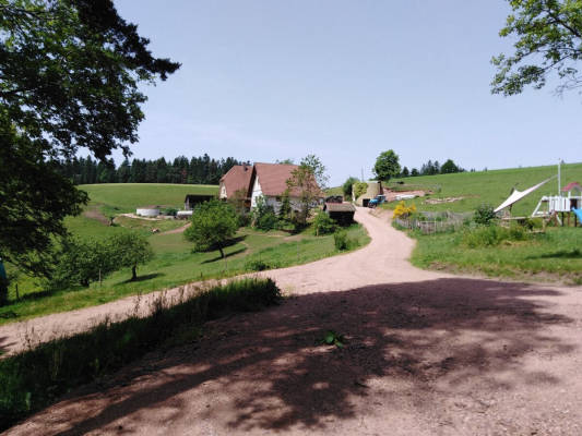 Wohnmobilstellplatz in Hornberg