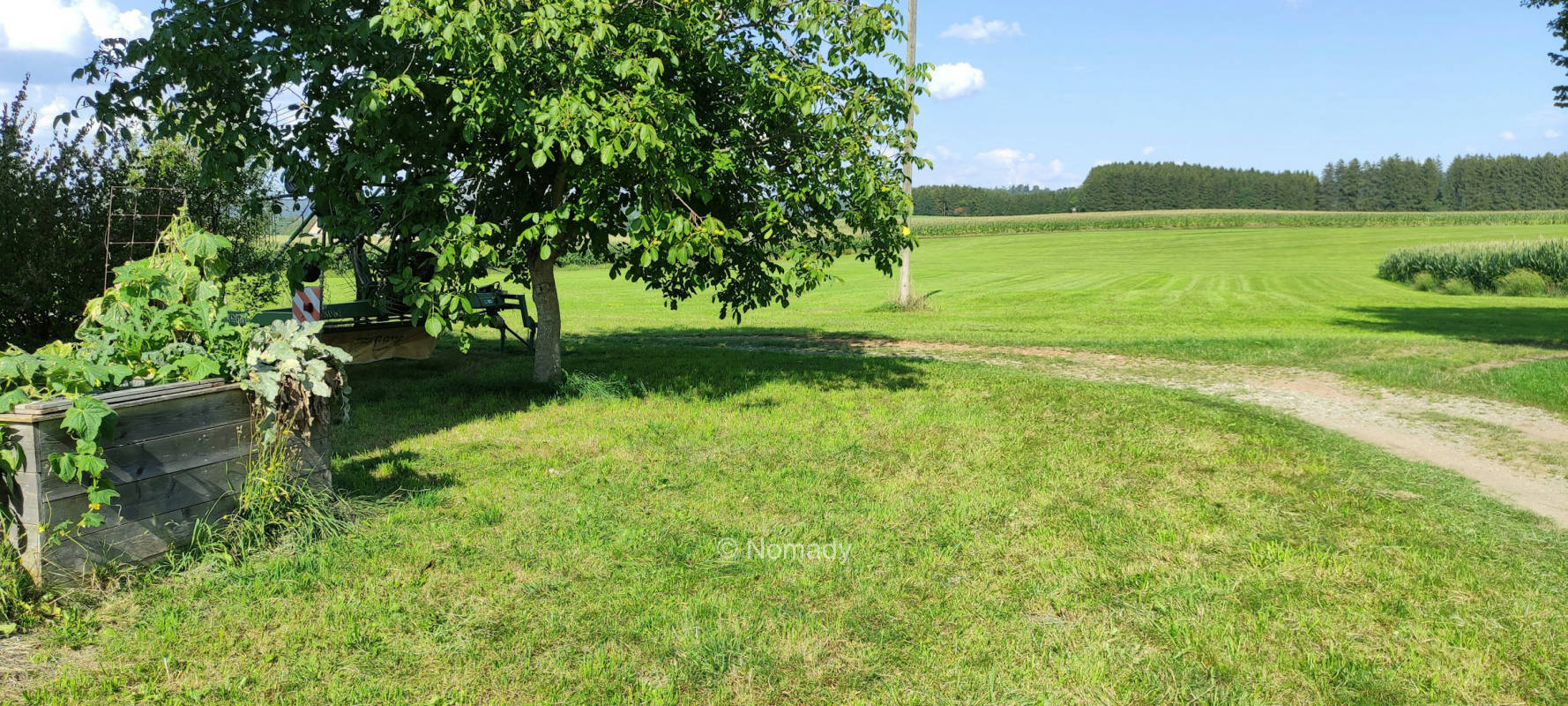 Abgelegener bauernhof im grunen