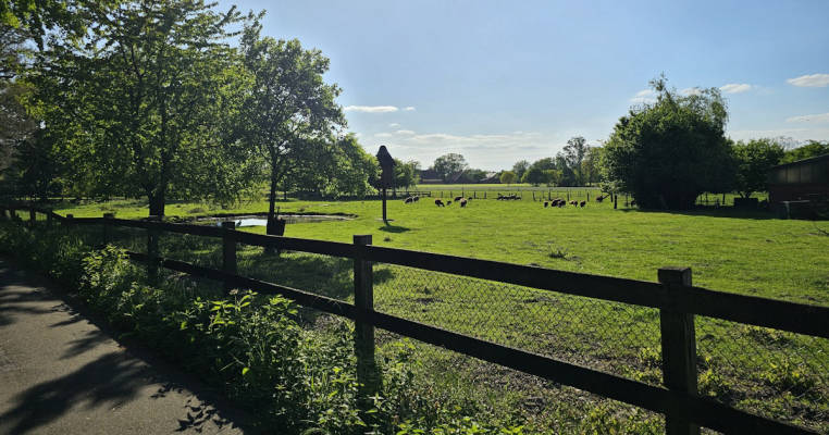 Enjoy pure nature close to the Dutch border