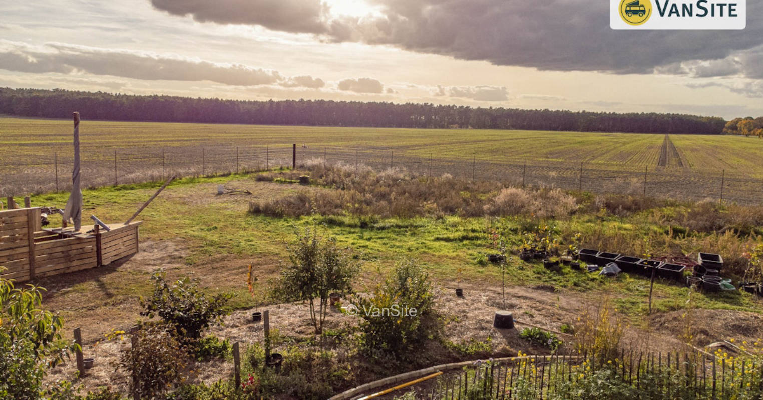 Wildflower meadow at the permaculture garden