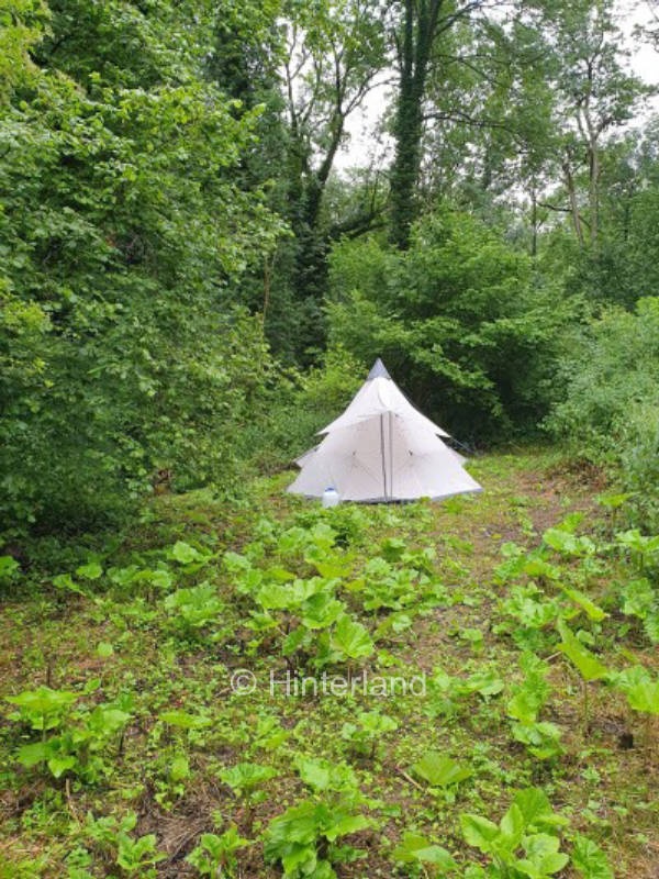 Campsite in the middle of nature - within walking distance of the Moselle River