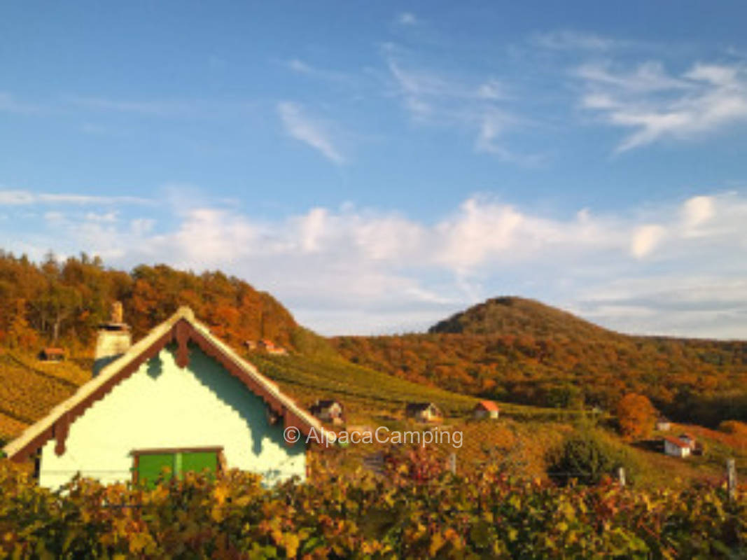 Overnight stay with view to the vineyard