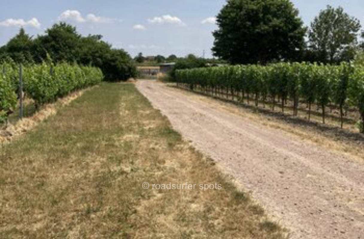 Campingwiese am Honigberg