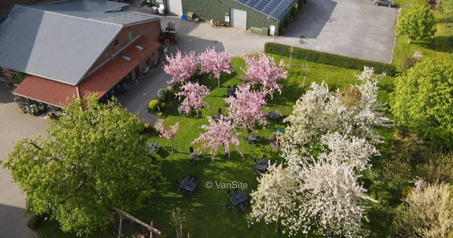 Wiese vor Obstplantage