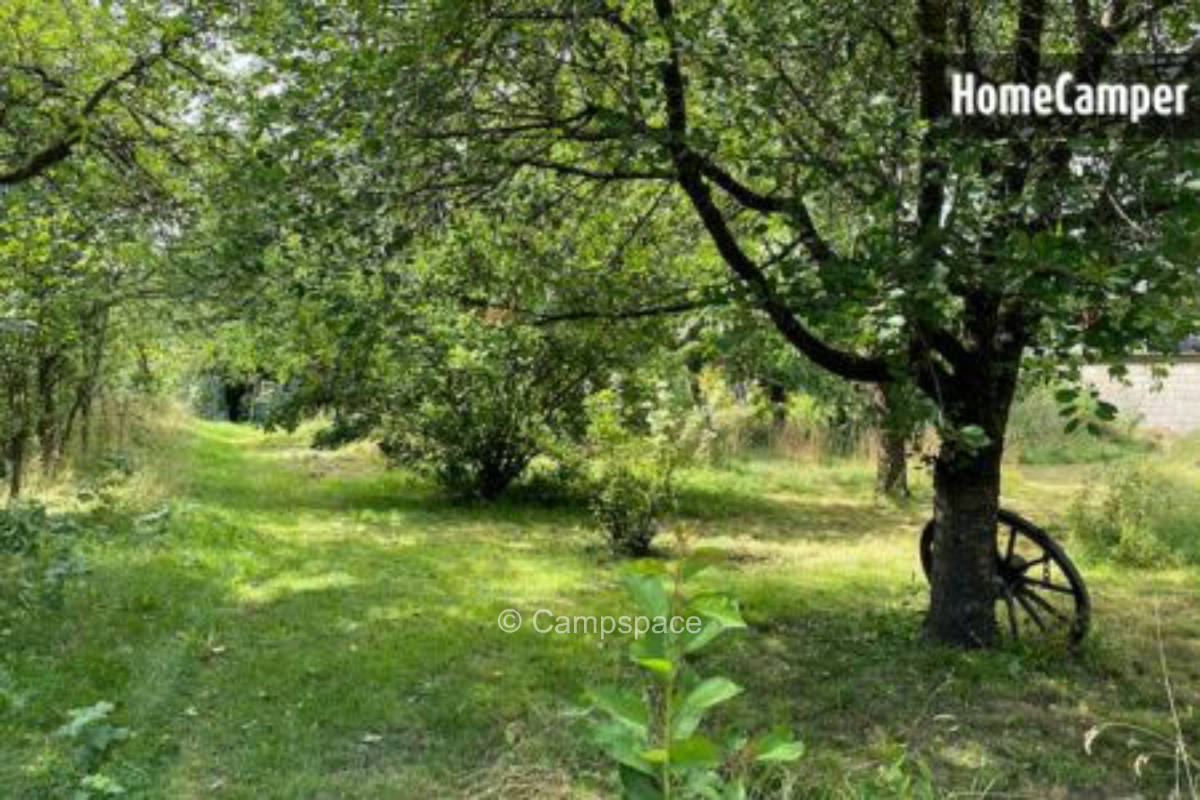 Platz für das Gras (Campspace 20069)