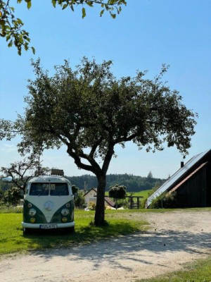 Natural camping spot in the tripoint area with gastronomy