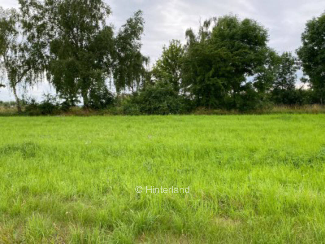 Thuringian country idyll with various activities