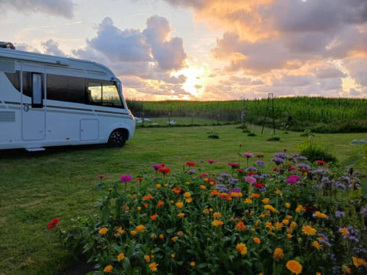 Kleine Oase am Bauernhof nähe Cuxhaven (Campspace 28970)