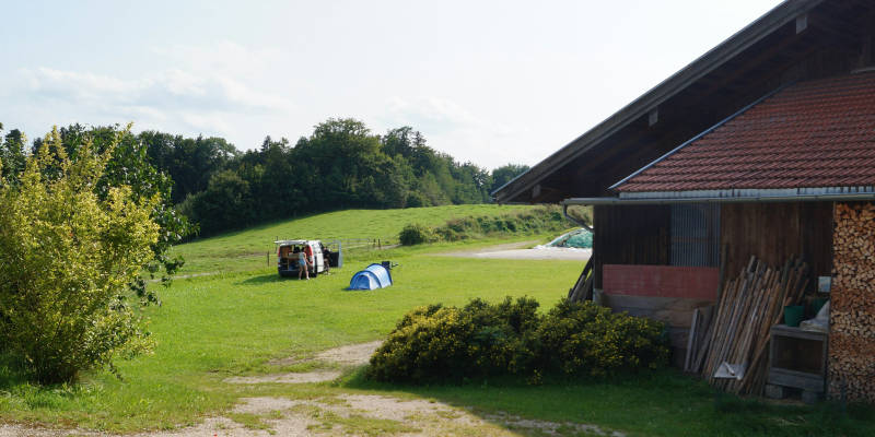 Camping on the organic farm next to cows