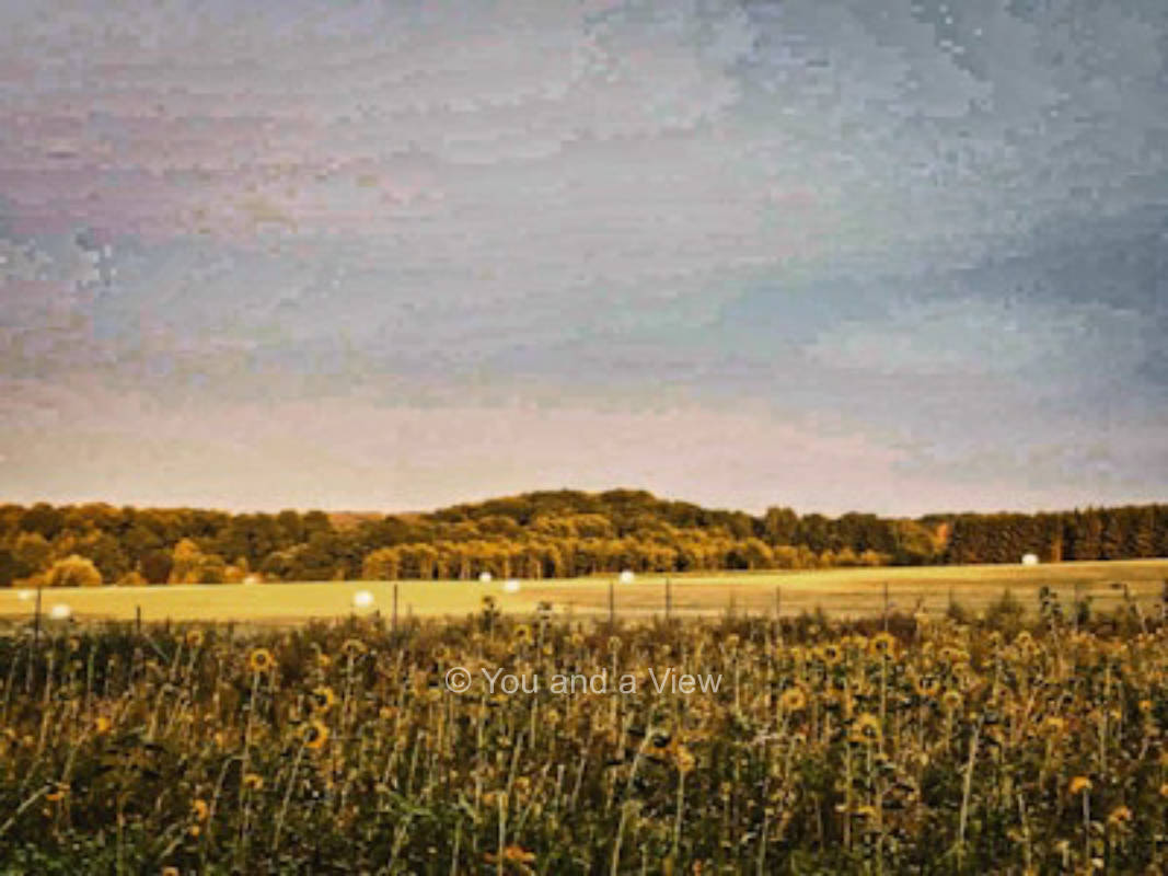 Hof Linkemeyer – Waldrand