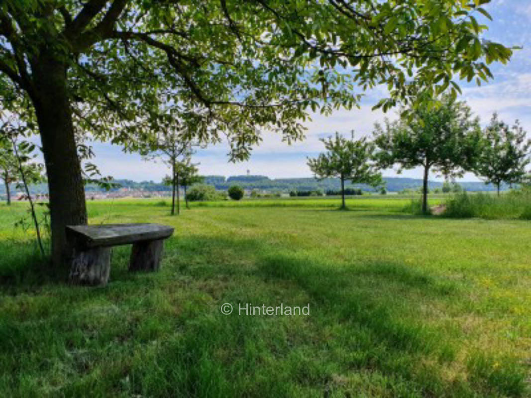 Nature, water and land (er)leben - Seenlandcamping