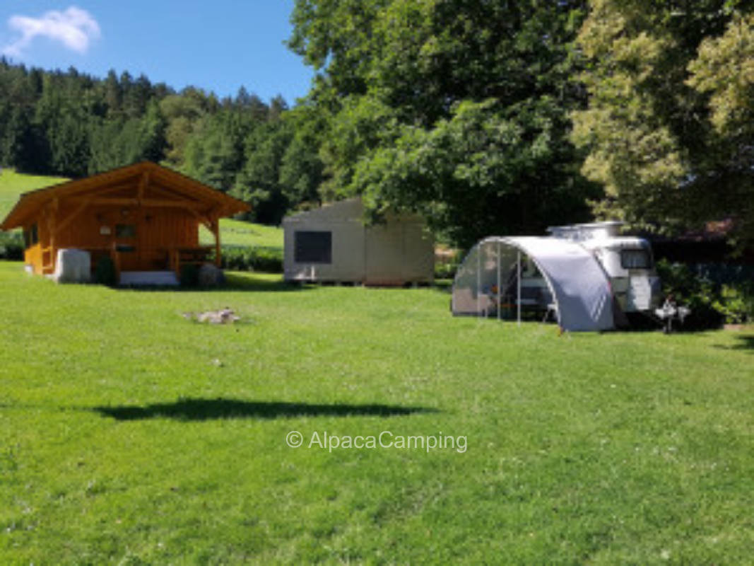 Stellplatz auf dem Ferien- und Pferdehof #1