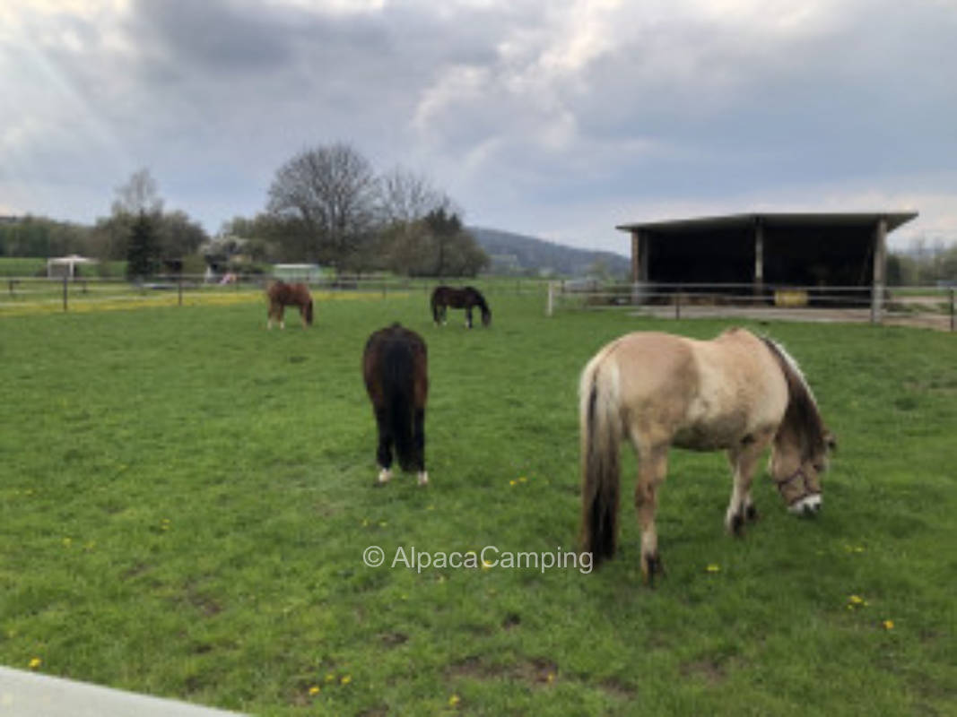 In Lohra on a farm #3