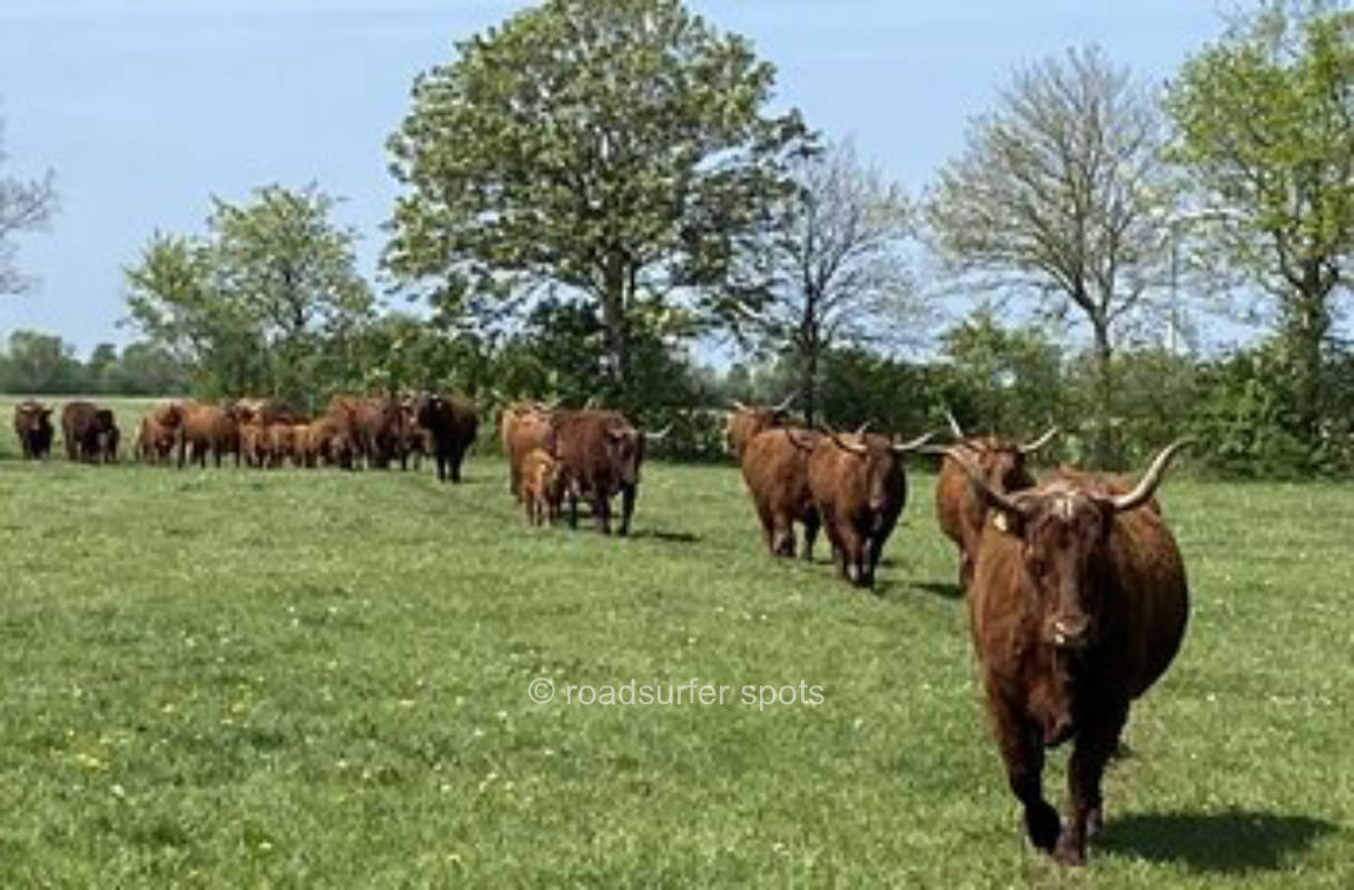 "Begelhof" the farm between the seas