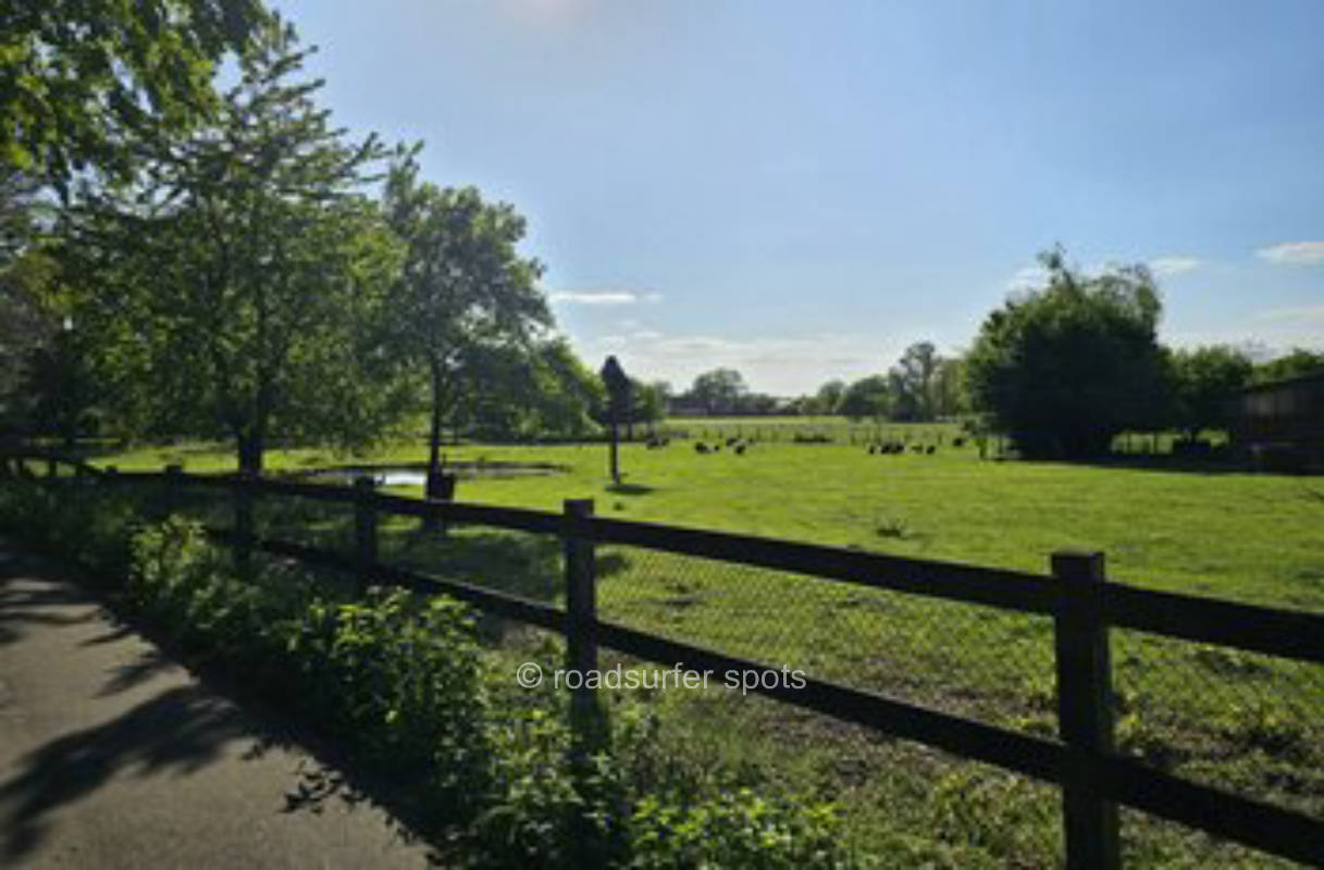 Natur pur an der niederländischen Grenze genießen