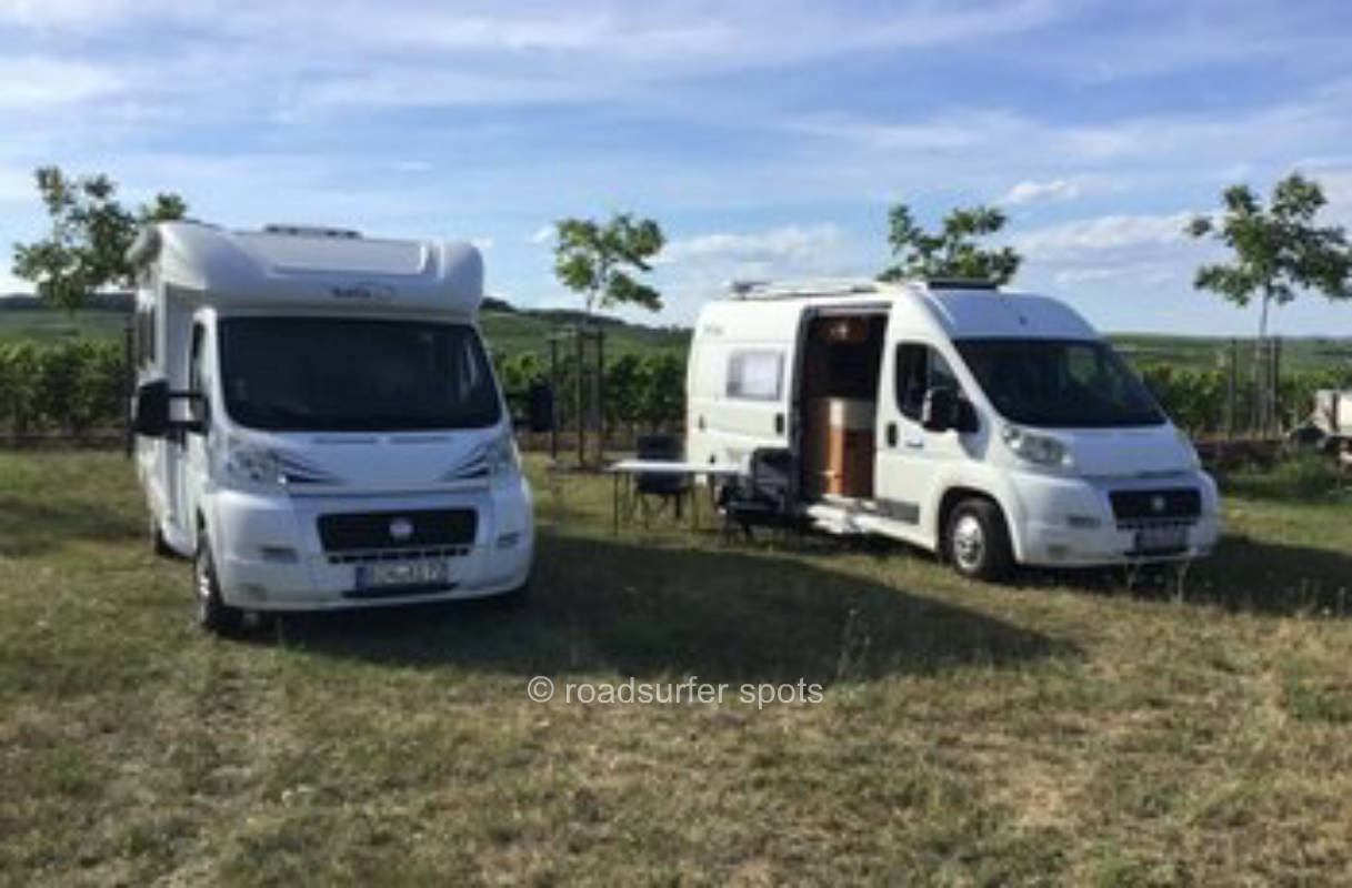 NaturPurWiese DemeterWeingut        Im Zwölberich